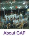 all about CAF