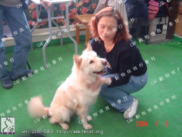 Bak Bak (Dog - Samoyed (23-30kg))